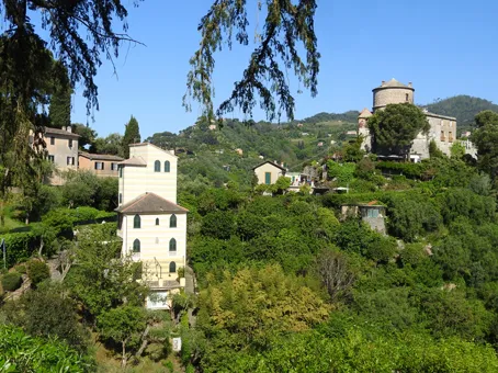 Castello Brown