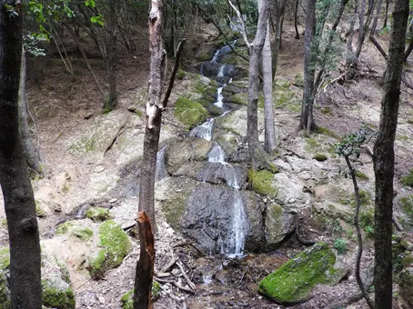 Cascata